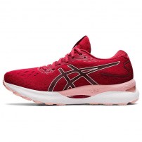 Кросівки для бігу жіночі Asics GEL-NIMBUS 24 Cranberry/Frosted Rose